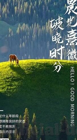 成人手机在线a视频-成人手机在线a视频，信息时代的娱乐新视角