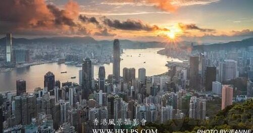 大象传媒app下载安卓版-探索大象传媒APP，安卓版下载指南与体验分享
