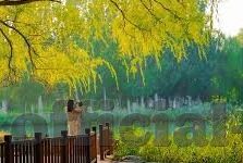 麻豆91亚洲国产手机在线-麻豆91，探索国产手机影视内容的趣味与挑战