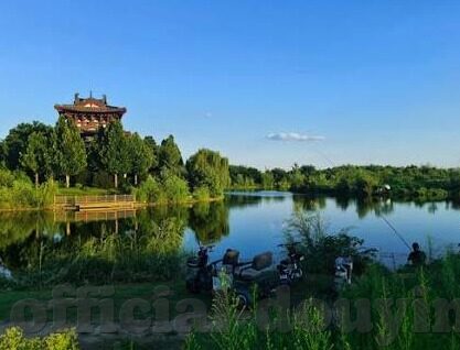 糖心vlog官网入口在哪-探究网络热潮，寻找糖心vlog官网入口的有趣旅程