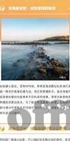 在线中文字幕有码中文-探索在线中文字幕的多元魅力，从文化交流到个人娱乐的桥梁
